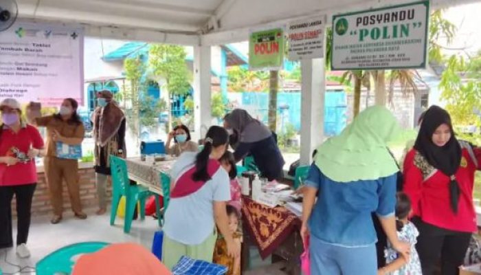 Revitalisasi Posyandu Dinilai Kunci Ketahanan Keluarga